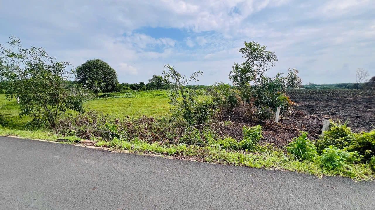 Đất nền Phước Long Thọ 3000m² giá 5.4 tỷ - Mặt tiền đường nhựa lớn!