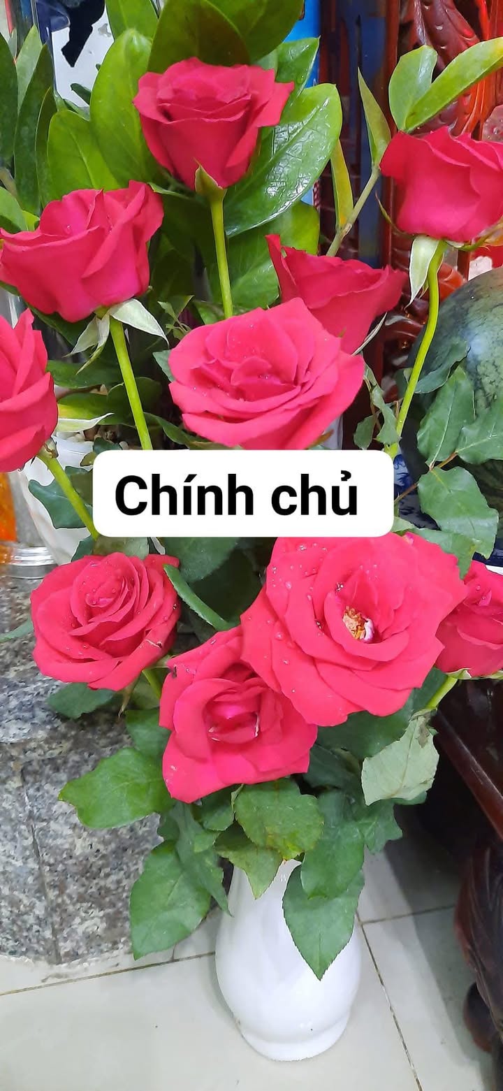 Đất nền 48m² Ấp 1, Đông Thạnh, Hóc Môn giá 300 triệu - Cần bán gấp!