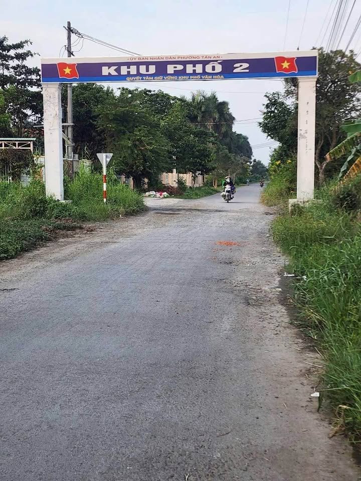 Đất nền mặt tiền đường Nguyễn Thông, xã Bình Tâm, 195m² giá 1.5 tỷ - Cơ hội đầu tư sinh lời!