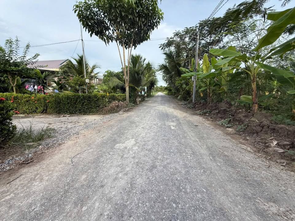 Đất vườn thổ cư 1.216m² tại Ấp Hòa Phú, Chợ Gạo - Giá chỉ 1.25 tỷ!