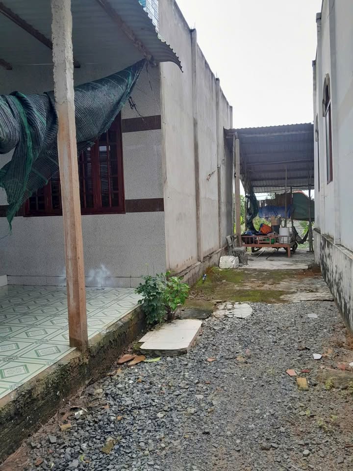Đất + Nhà cấp 4 1000m² tại Tân Phước - Sổ hồng chính chủ, giá thương lượng!