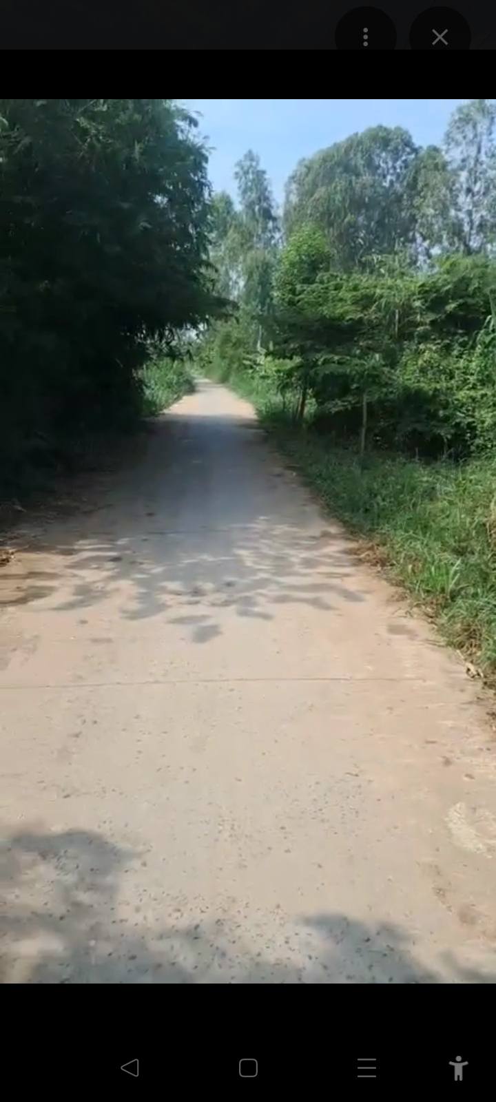 Đất nền Tân Hòa 270m² giá chỉ 350 triệu - Sổ đỏ chính chủ, thương lượng nhẹ!