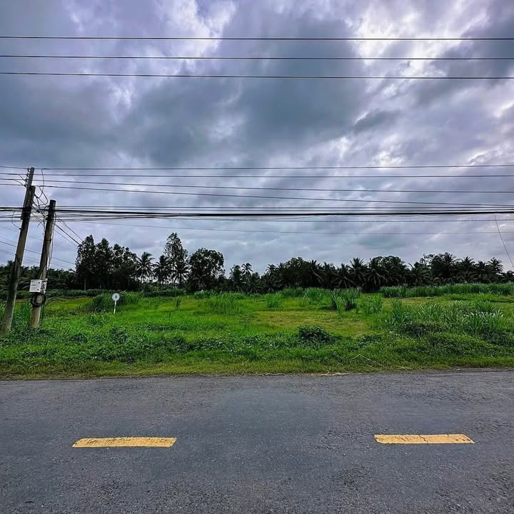 Đất nền 4779m² tại Ấp An Ninh, Gò Công Tây - Giá 4.779 tỷ, Hướng Nam