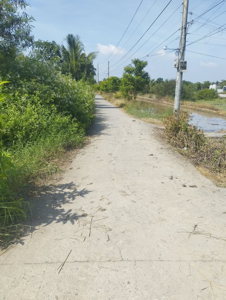 Đất nền Tân Trung Gò Công 200m² giá chỉ 340 triệu - Cơ hội đầu tư hấp dẫn!