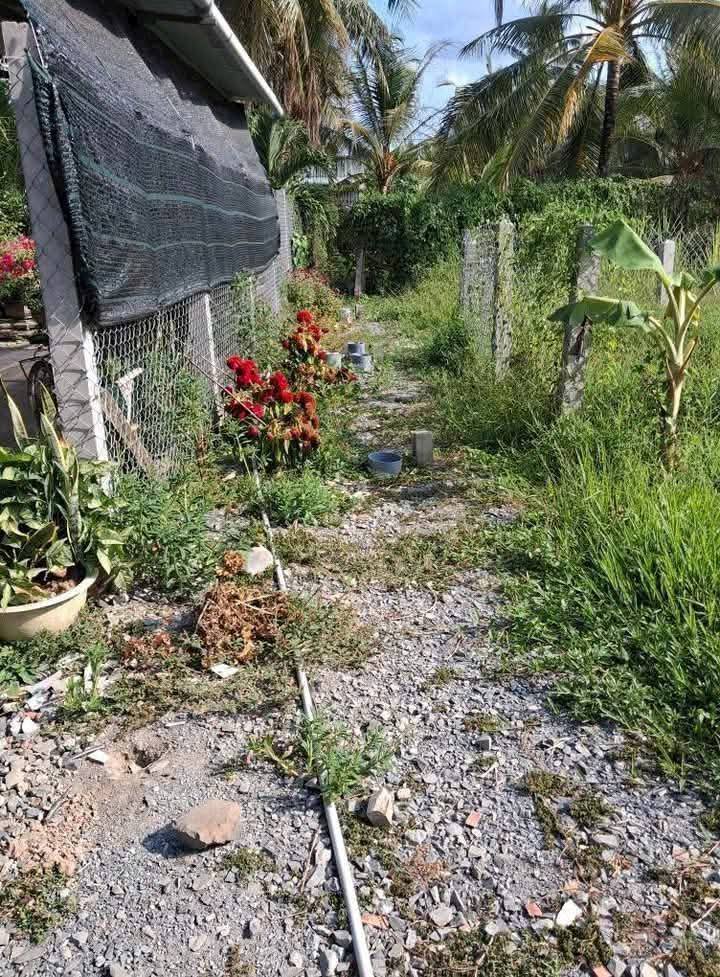 Đất nền Phước Thạnh, Mỹ Tho 80m² giá chỉ 3xx triệu - Đầu tư sinh lời ngay!