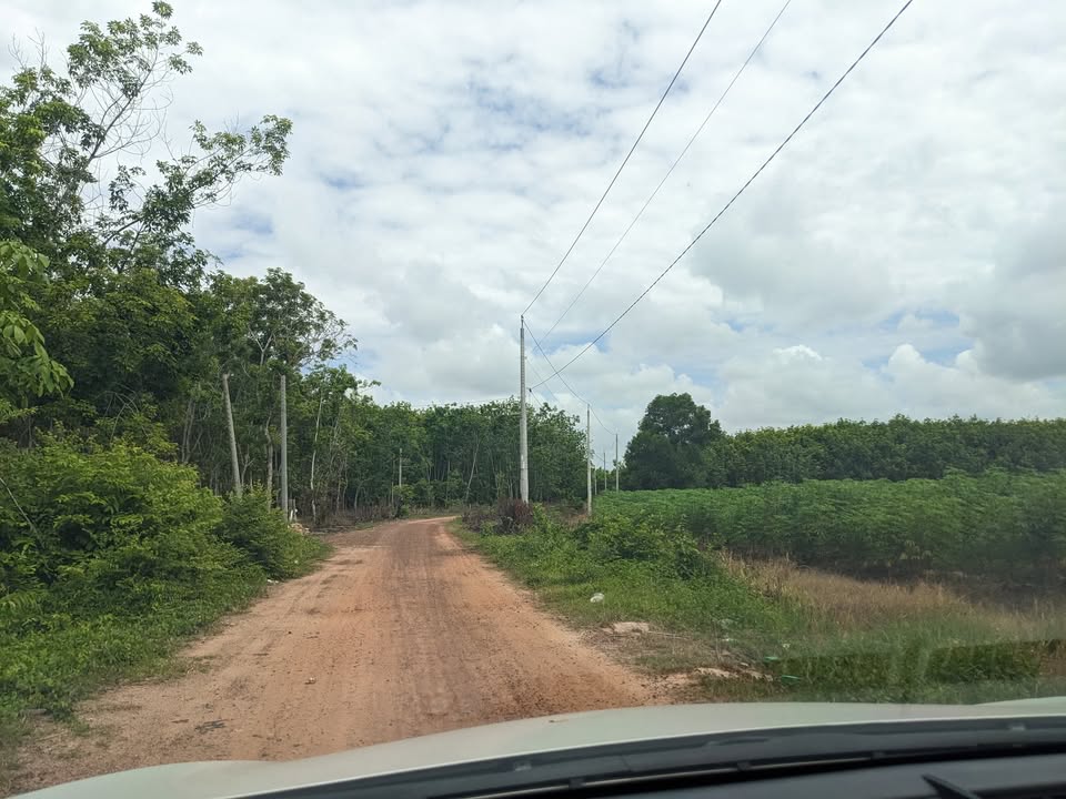 Đất HNK 1.7 mẫu tại xã Hòa Thạnh, Châu Thành, Tây Ninh - Giá 2.99 tỷ, sổ hồng sẵn!