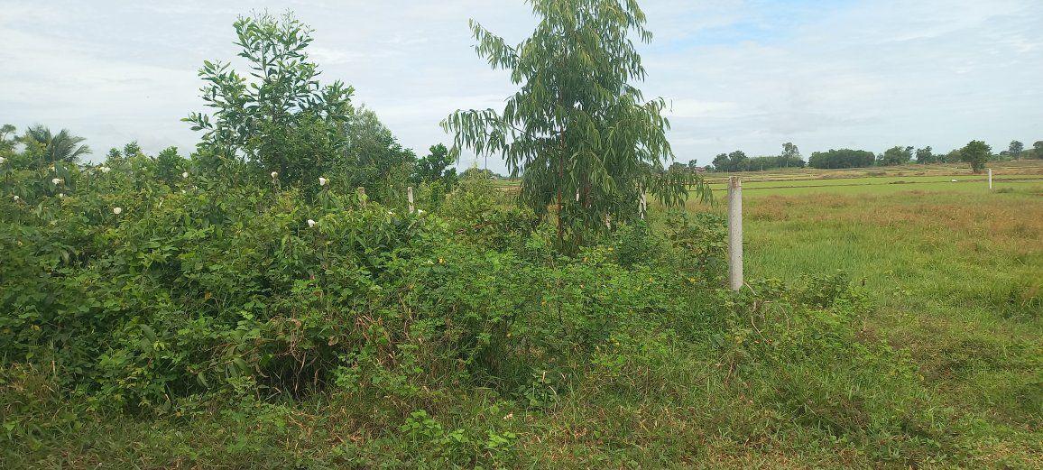 Đất nền phường Bình Minh, Tây Ninh 275m² giá chỉ 450 triệu - Đầu tư ngay hôm nay!