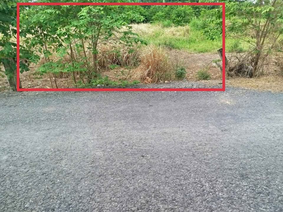 Đất nền Phước Đức B, Gò Dầu, 160m² chỉ 699 triệu - Đầu tư sinh lời ngay!