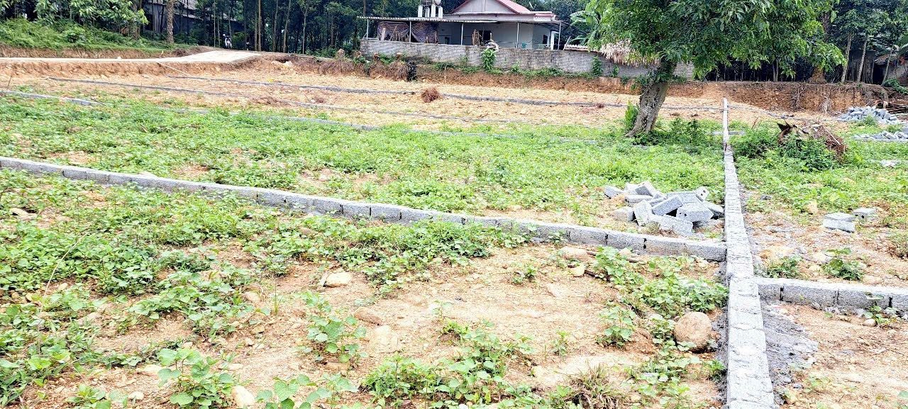 Đất nền Xuân Viên Yên Lập 320m² giá 190 triệu - Sổ đỏ chính chủ, ô tô vào tận nơi!