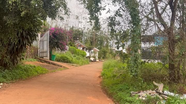 Đất thổ cư 312m² tại Đức An, Đắk Song chỉ 100 triệu - Vị trí đắc địa ngay trung tâm!