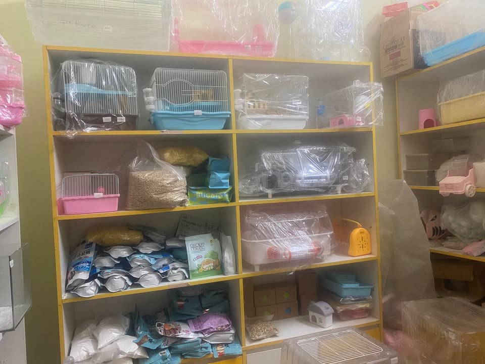 Nhà nguyên căn 30m² đường Tây Sơn, quận Đống Đa - Giá 13 triệu/tháng, ô tô tải đỗ cửa!