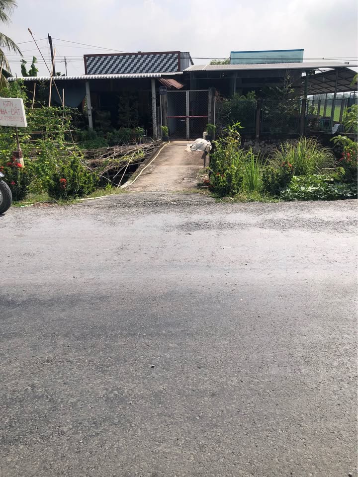 Nhà riêng tại xã Long Hồ, Vĩnh Long 224.6m² giá 1.8 tỷ - Cần bán gấp!