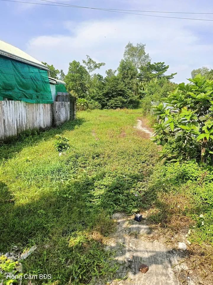 Đất thổ cư 740m² tại Ấp 4, Hậu Lộc, Tam Bình - Giá chỉ 900 triệu