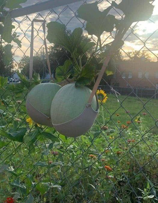 Đất nền tại Khối 1, thị trấn Đô Lương, diện tích 150m² giá 1.4 tỷ - Đầu tư sinh lời ngay!