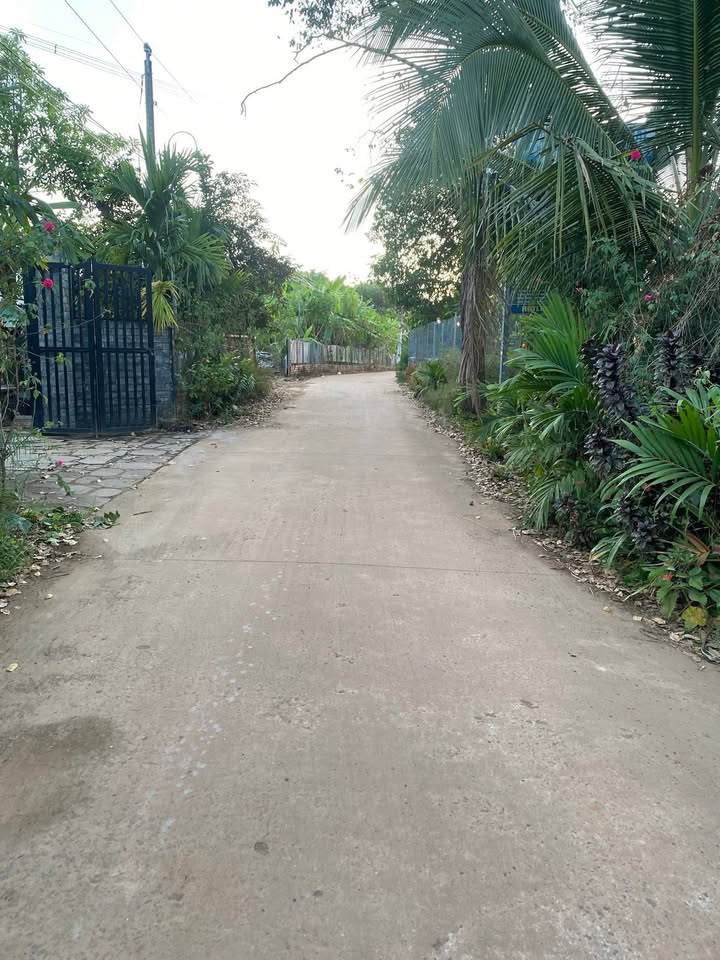 Đất xào Vĩnh An 2661m² giá 2 tỷ - Cơ hội đầu tư tuyệt vời!