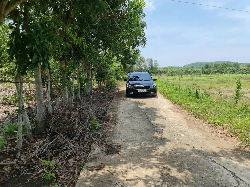 Đất nền Thanh An, Hớn Quản 1400m² chỉ 300 triệu - Cơ hội đầu tư tuyệt vời!