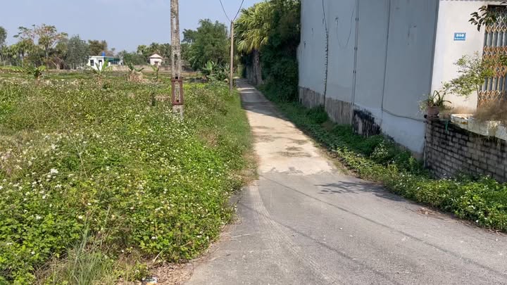 Đất nền 52m² đường Thanh Niên, Quảng Xương chỉ 1.5 tỷ - Cơ hội đầu tư tuyệt vời!