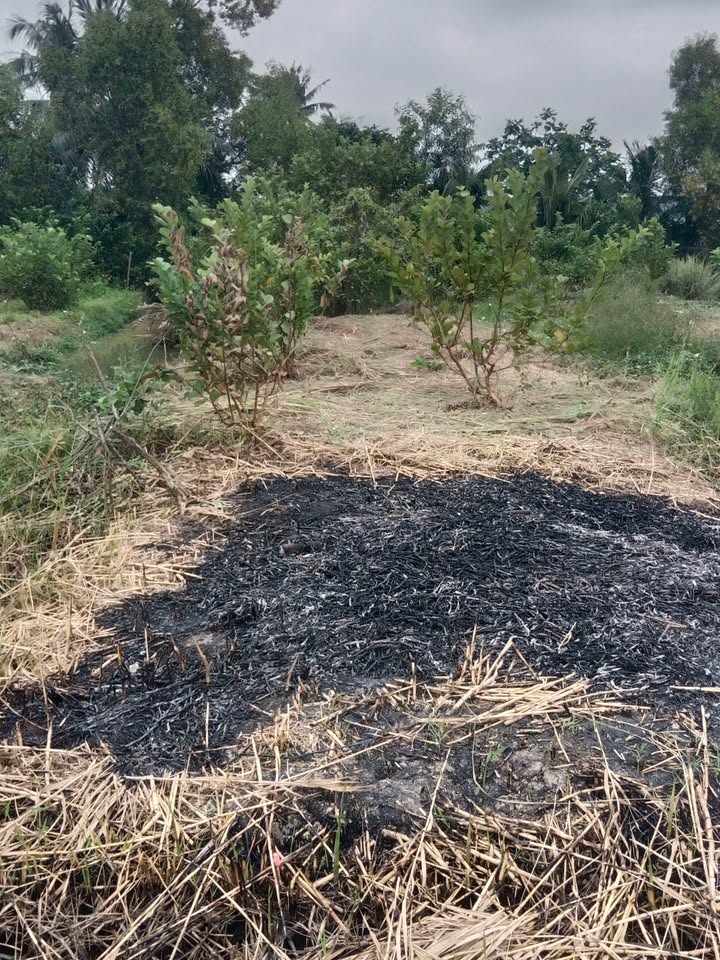 Đất vườn cho thuê tại Quy Đức, Bình Chánh, 1000m² - Giá chỉ 10 triệu/năm!