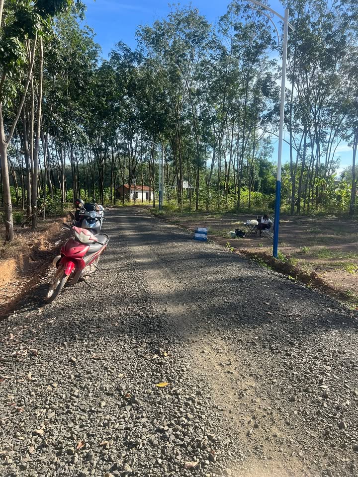 Đất nền 175m² tại ấp 6 Tân Thành chỉ 350 triệu - Cơ hội đầu tư tuyệt vời!