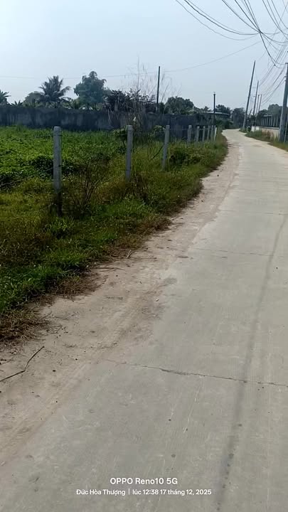 Đất Farm mặt tiền đường bê tông xã Đức Hòa Thượng 6549m² giá 6.5 tỷ - Cơ hội đầu tư hấp dẫn!