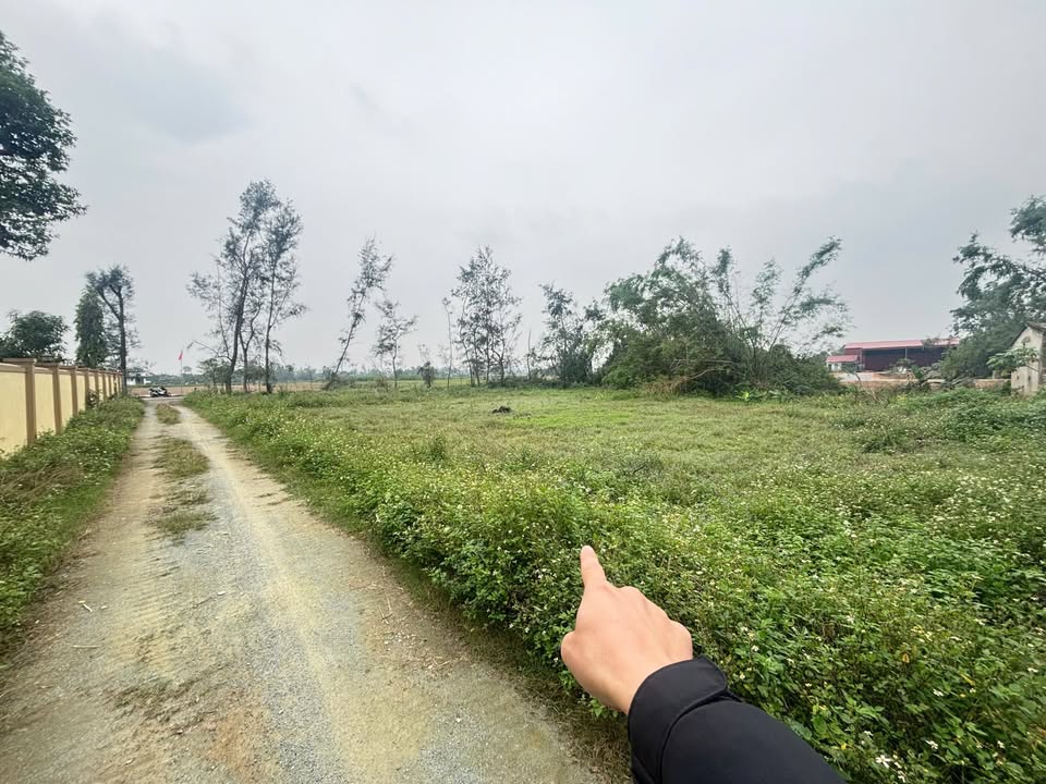 Lô đất đẹp 500m² đường Đức Thiết, Nghi Trường chỉ 7.15 tỷ - Đường lớn ô tô tránh nhau!