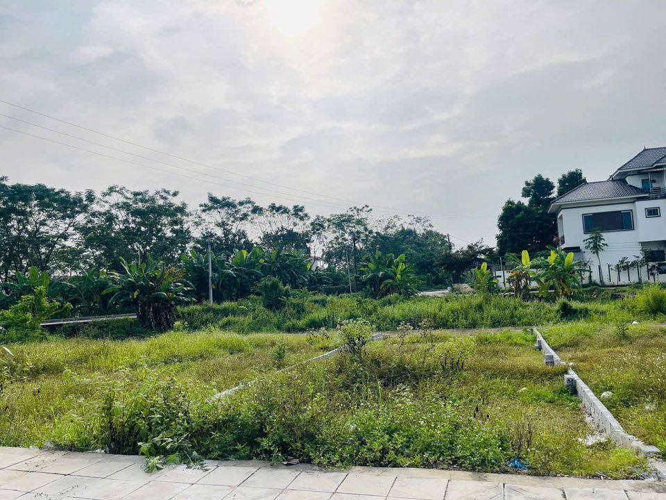 Đất nền Hùng Sơn, Lâm Thao 95m² giá 1.8 tỷ - Cơ hội đầu tư tuyệt vời!