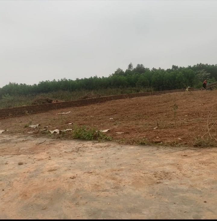 Đất thổ cư 245m² tại xã Thành Công, TP Phổ Yên - Gần chợ và trường học!