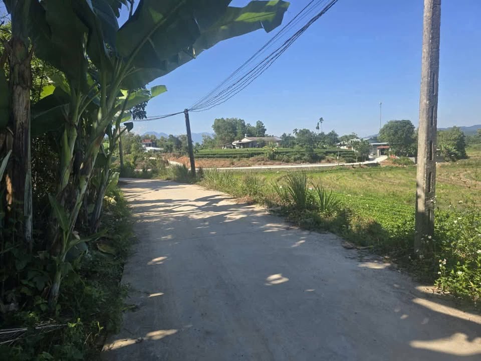 Đất nền phường Quyết Thắng 516m² giá 300 triệu - Đầu tư sinh lời tiềm năng!