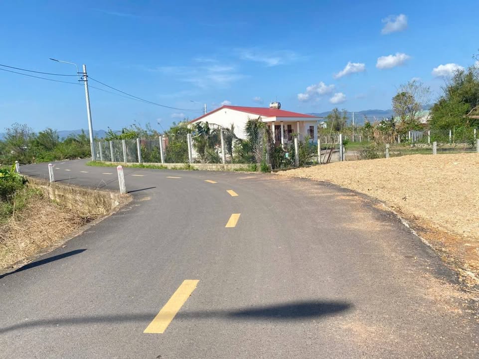 Đất thổ cư tại Thôn Hữu Thành, Phước Hoà, 65m² - Đầu tư lý tưởng cho vợ chồng trẻ!