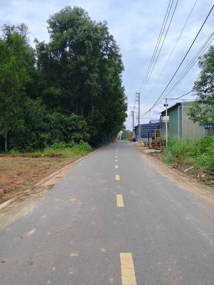 Đất nền Tân Định, Quận 1, 1200m² giá 7.8 tỷ - Pháp lý rõ ràng, thích hợp kho xưởng