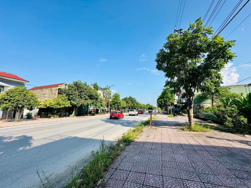 Đất kinh doanh mặt đường Quang Trung Thạch Hạ 100m² giá 4 tỷ - Vị trí đắc địa trung tâm!