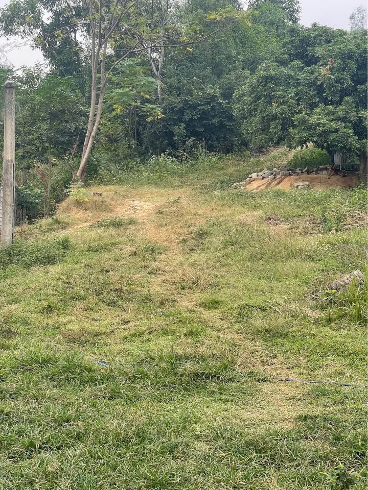 Đất nông nghiệp Bến Tắm Chí Linh 7000m² - Giá chỉ 500 triệu - Cơ hội đầu tư hấp dẫn!