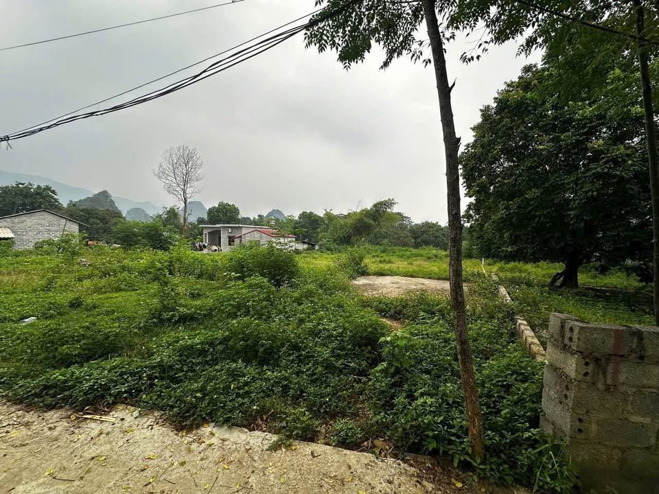 Đất nền 1186m² tại Cao Dương, Lương Sơn, Hòa Bình - Giá chỉ 2.372 tỷ, cơ hội đầu tư tuyệt vời!