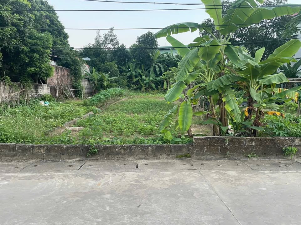 Đất ở đô thị Xuân Khanh Sơn Tây 178m² - Giá hơn 2 tỷ, đường ô tô tránh!