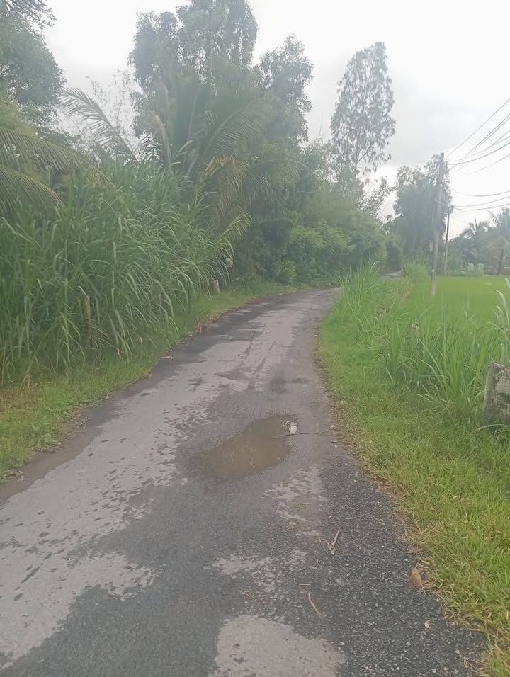 Đất mặt tiền Đa Xanh, Tân Hội Đông, Châu Thành, Tiền Giang 4800m² - Giá đầu tư hợp lý!