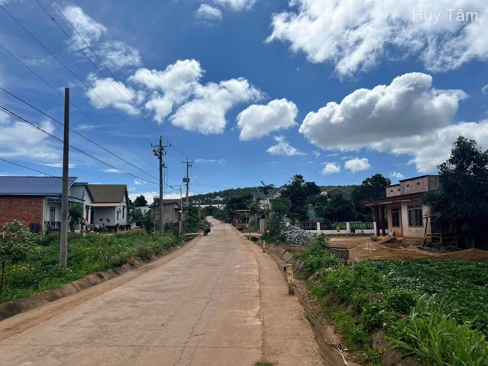 Đất thổ cư 72m² Đơn Dương chỉ 615 triệu - Vị trí thuận lợi, đầu tư sinh lời!