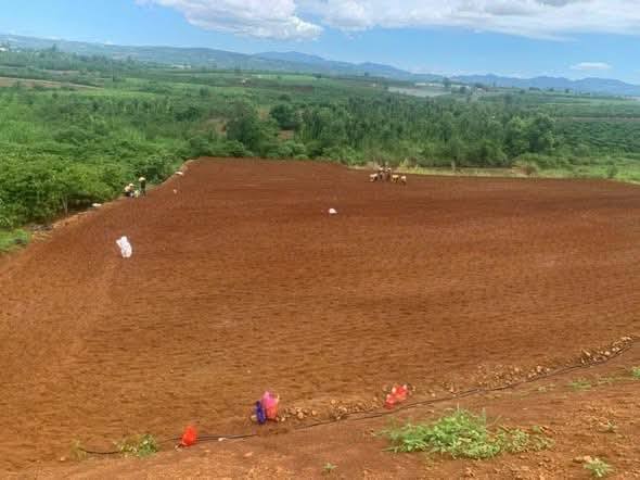 Đất mặt tiền Tỉnh lộ 724, Tân Hội, 9142m² giá 13 tỷ - Đầu tư sinh lời cao!