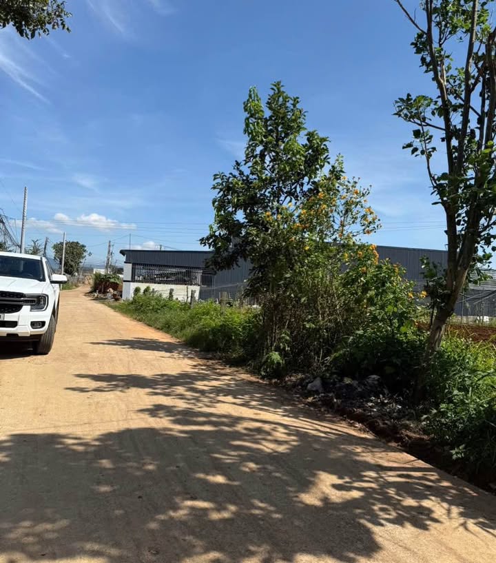 Đất thổ cư Liên Hiệp - Đức Trọng 279.3m² giá tốt - Mặt tiền đường bê tông 9.5m!