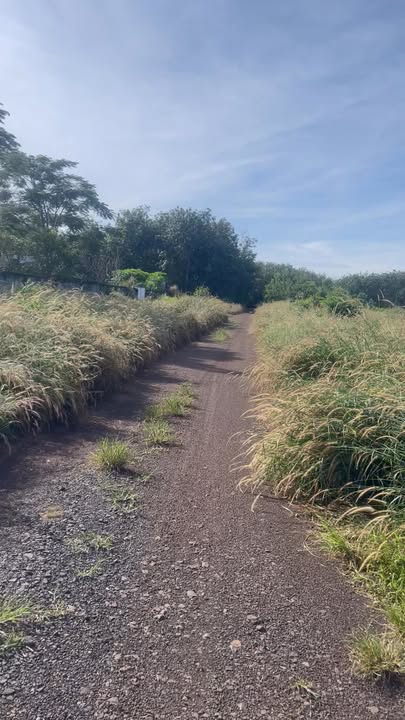 Đất nền Tân Hưng 1,5ha giá 4.3 tỷ - Vị trí đắc địa cho đầu tư