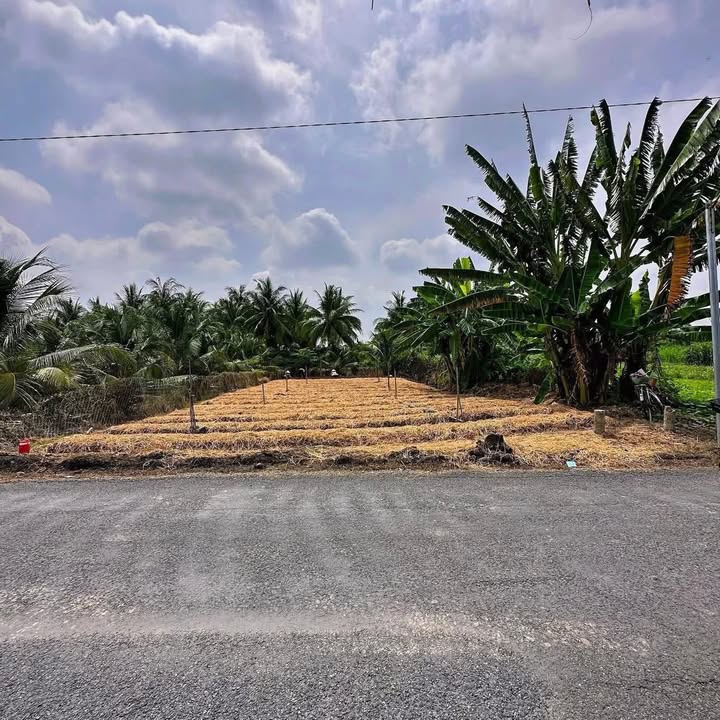 Đất thổ cư 589m² tại Ấp Bình Ninh, Chợ Gạo - Giá chỉ 1.3 tỷ, thương lượng cực tốt!