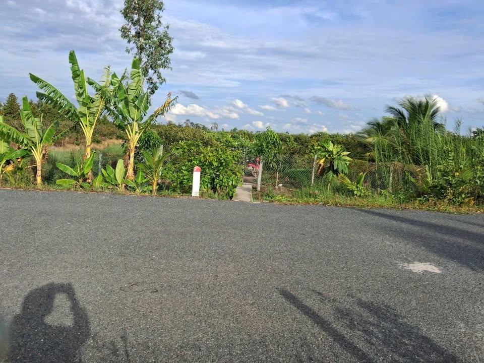 Đất vườn 3,8 công An Khánh Châu Thành Đồng Tháp - Bán gấp chỉ 1.4 tỷ!