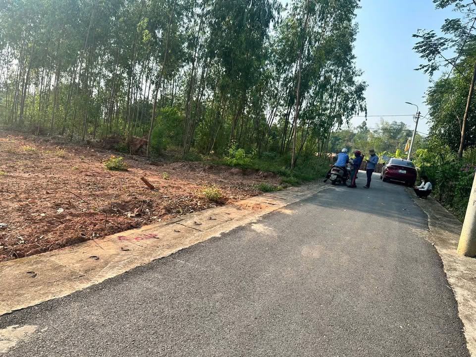 Đất nền Quất Lưu Bình Xuyên 145m² giá chỉ 1.2 tỷ - Cơ hội đầu tư sinh lời!