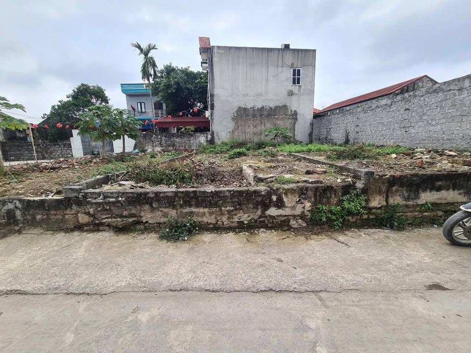 Đất nền xóm 4, phường Hồng Quang, 60m² giá chỉ 1 tỷ - Cơ hội đầu tư hấp dẫn!