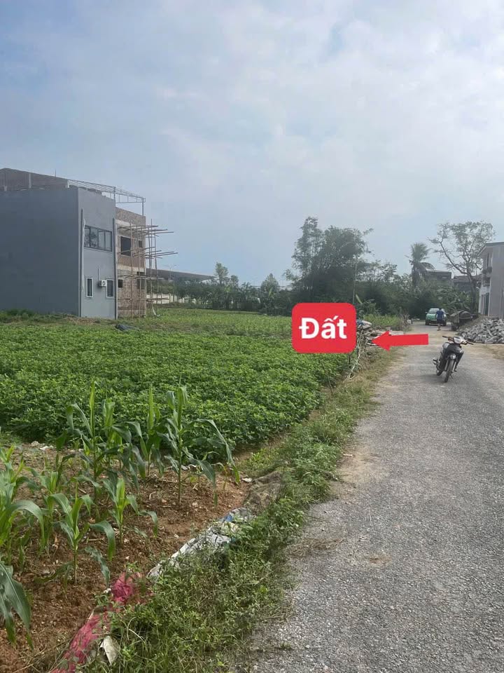 Đất ở Nghi Liên, Vinh 100m² giá 2.8 tỷ - Vị trí thuận tiện gần sân bay!