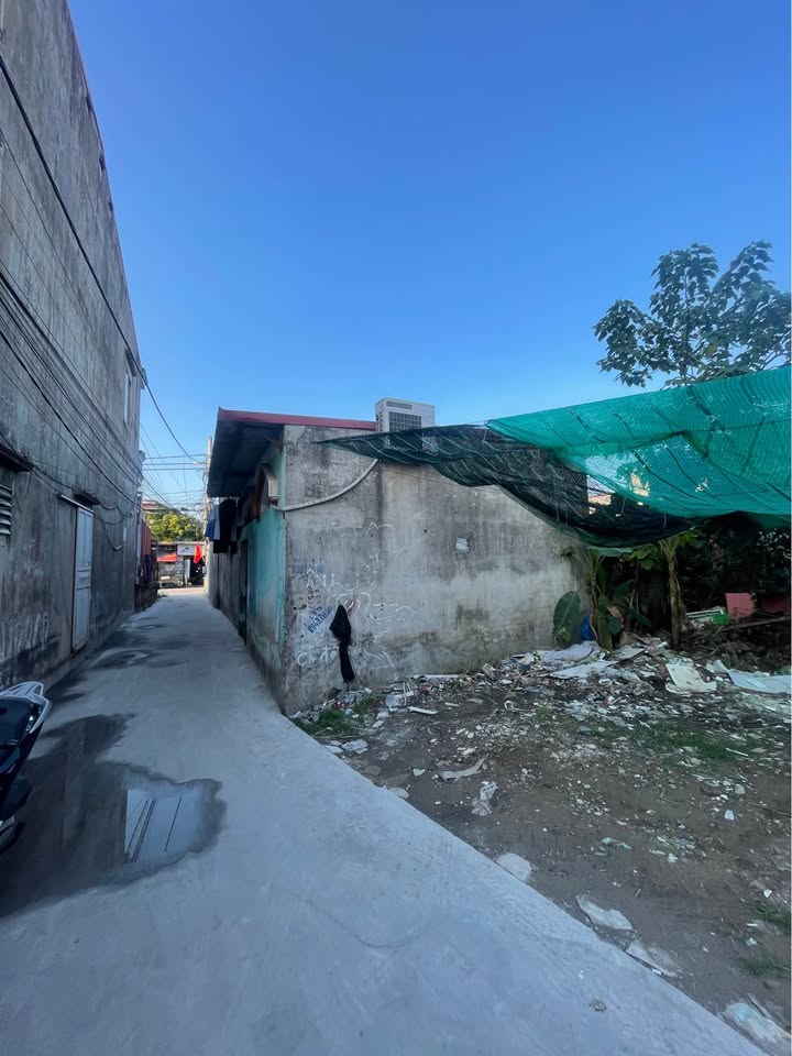 Đất nền Bùi Thị Tự Nhiên Hải Phòng 92m² giá 3.68 tỷ - Tiềm năng đầu tư lớn!