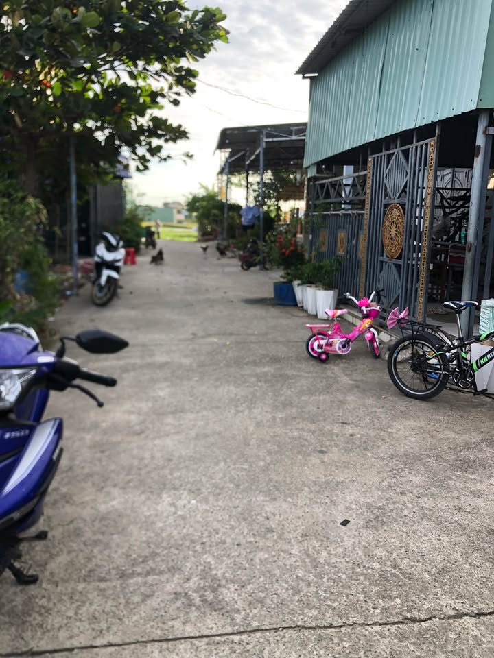 Đất nền Long Hải 140m² giá 1.15 tỷ - Sổ riêng, đường bê tông thông thoáng!