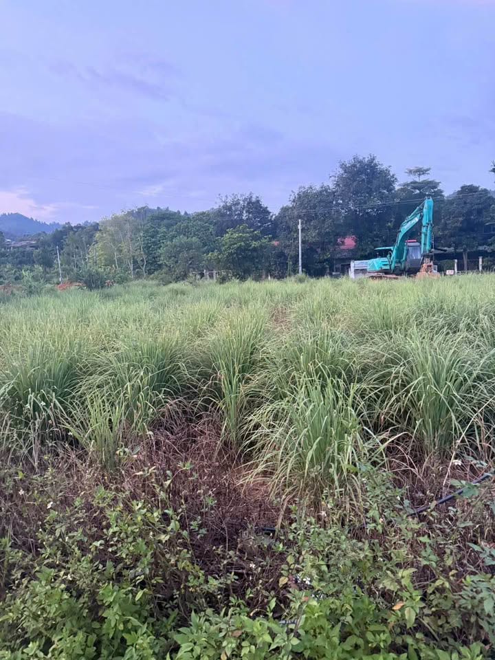 Đất Nền N7 TDC 2 Vạn Hoà 138m² giá đầu tư - Tiềm năng lớn gần cầu Phú Thịnh!