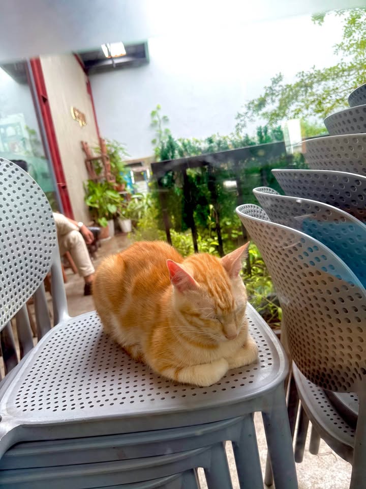 6 Lô Đất Bán Gấp Tại Khu Dân Cư Chợ Dinh, Quy Nhơn - Giá Chỉ Từ 2.37 Tỷ