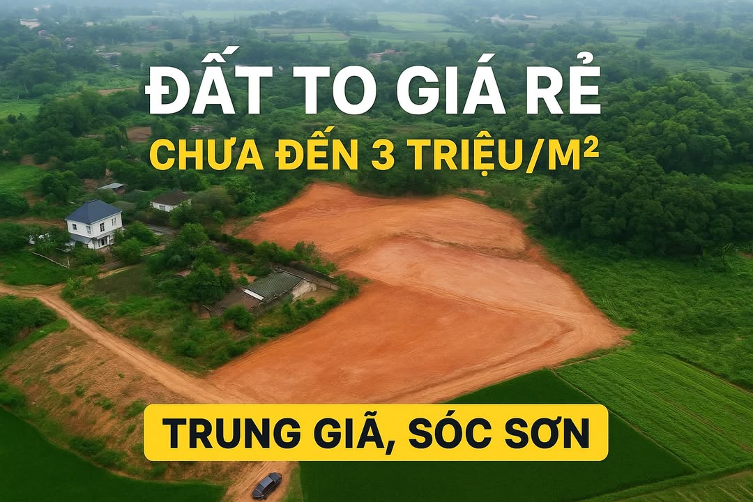 Đất nền thôn Đa Hội, xã Trung Giã, Hà Nội 2922m² giá 8.766 tỷ - Cơ hội đầu tư không thể bỏ lỡ!