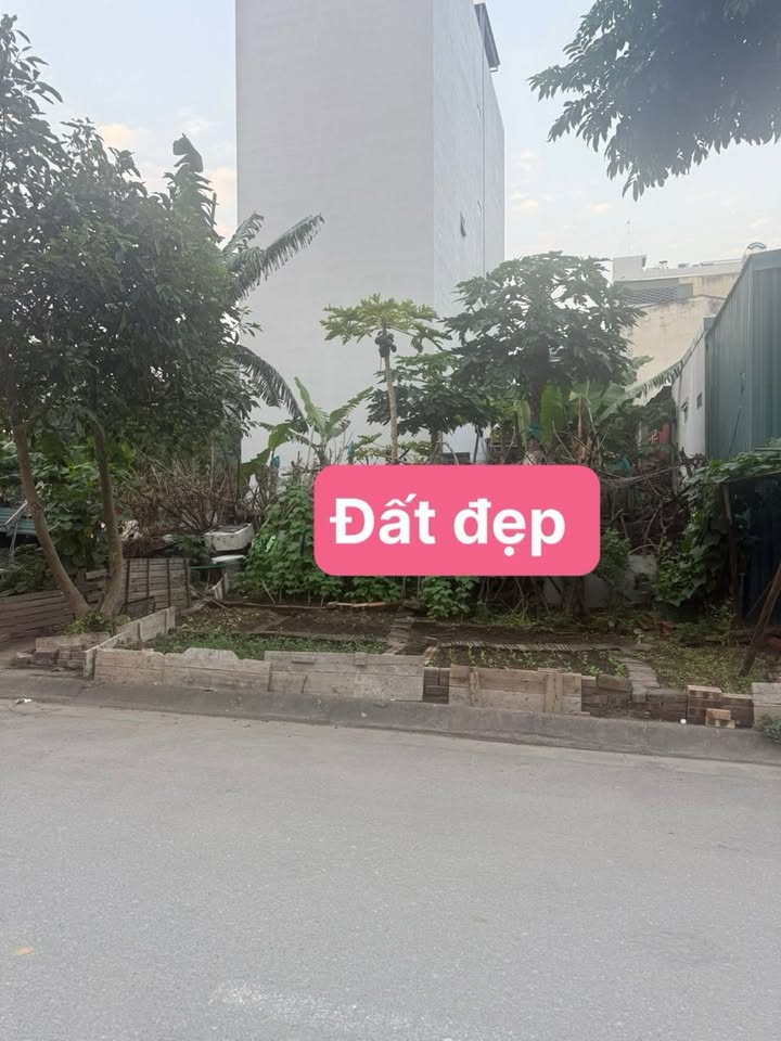 Đất Tái Định Cư Thạch Bàn Long Biên 60m² giá 16 tỷ - Vị trí đắc địa, an sinh tốt!